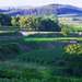 Blick auf die Weinberge